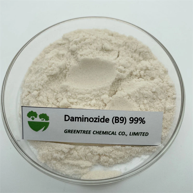 Control Overgrowth Plant Hormone Daminozide (B9) Pgr 99%