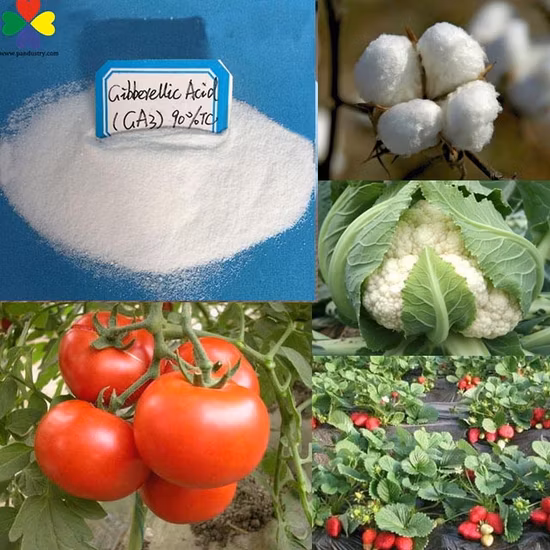 植物成長調節剤ジベレリンジベレリン酸 Ga3 90%Tc 粉末価格