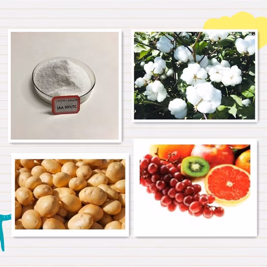 99% Tc 有機根刺激剤オーキシン Iaa インドール酢酸の粉末